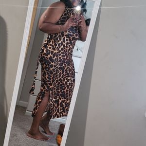 Leopard Women's 🐆 cute dresses